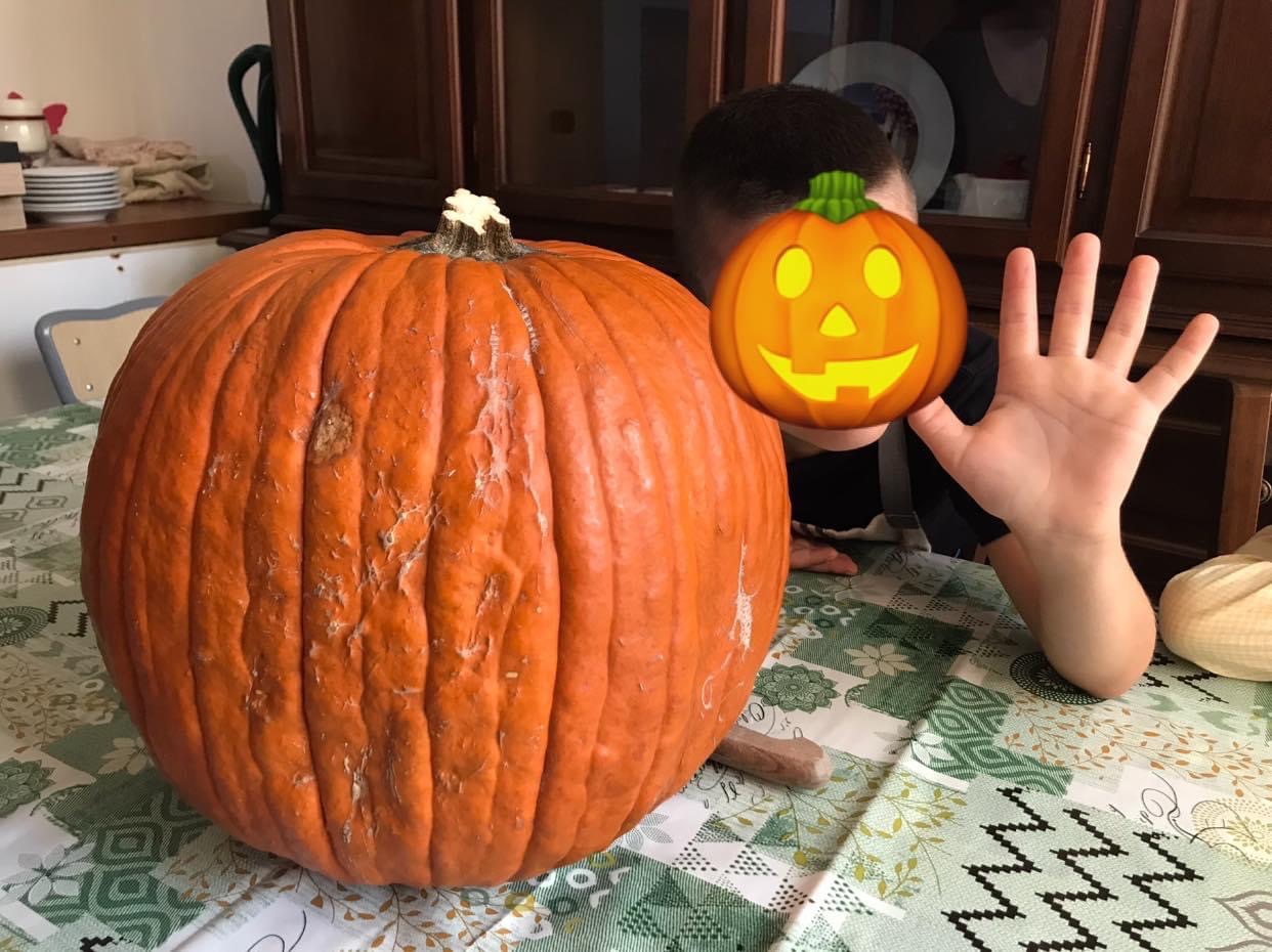 Un bambino accanto ad una grande zucca poggiata sul tavolo